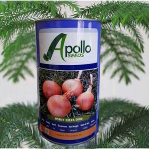 بذر فضای باز