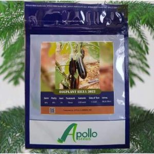 بذر فضای باز