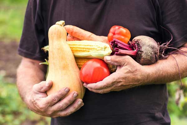 آموزش کاشت هویج بدون بذر