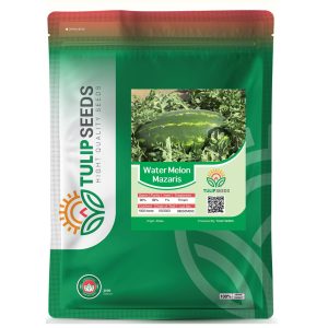 بذر هندوانه مازاریس